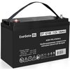 ИБП ExeGate IdealSine SR-1000.LCD.2SH + DT 12100 (100Ач) вариант - 7