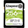 Карта памяти Kingston Canvas Select Plus MicroSD (SDS2/256GB), 256 Гб вариант - 1