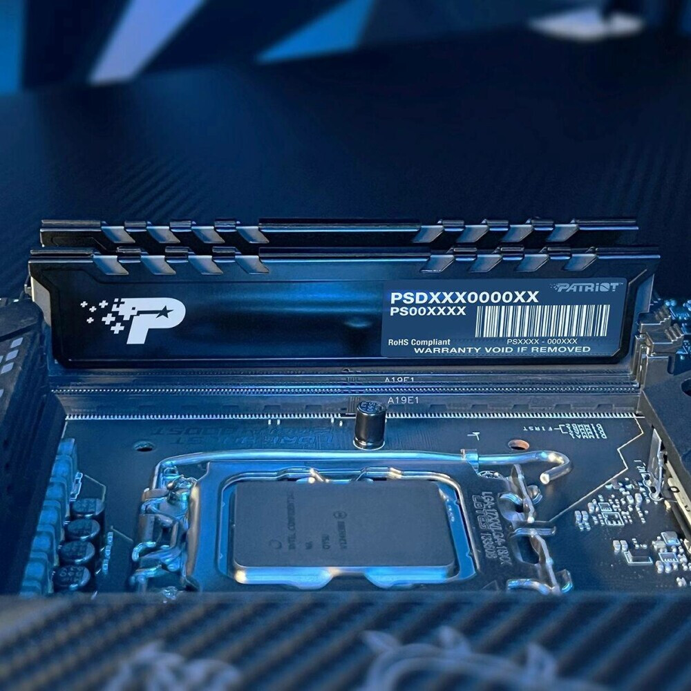 Оперативная память Patriot Signature Premium DDR5 4800MHz, PSP532G48002H1, 32 Гб детальное изображение - 4
