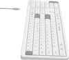 Клавиатура A4Tech Fstyler FBX55C, Белый вариант - 12