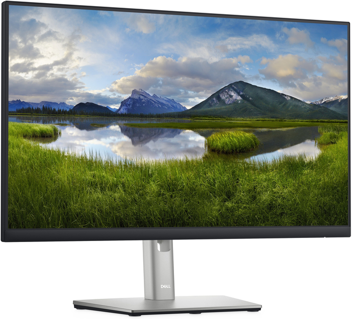 Монитор Dell P2422H, 24