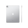 Планшет Apple iPad Pro 11 2024, 256 ГБ, Серебристый, Wi-Fi + Cellular вариант - 3