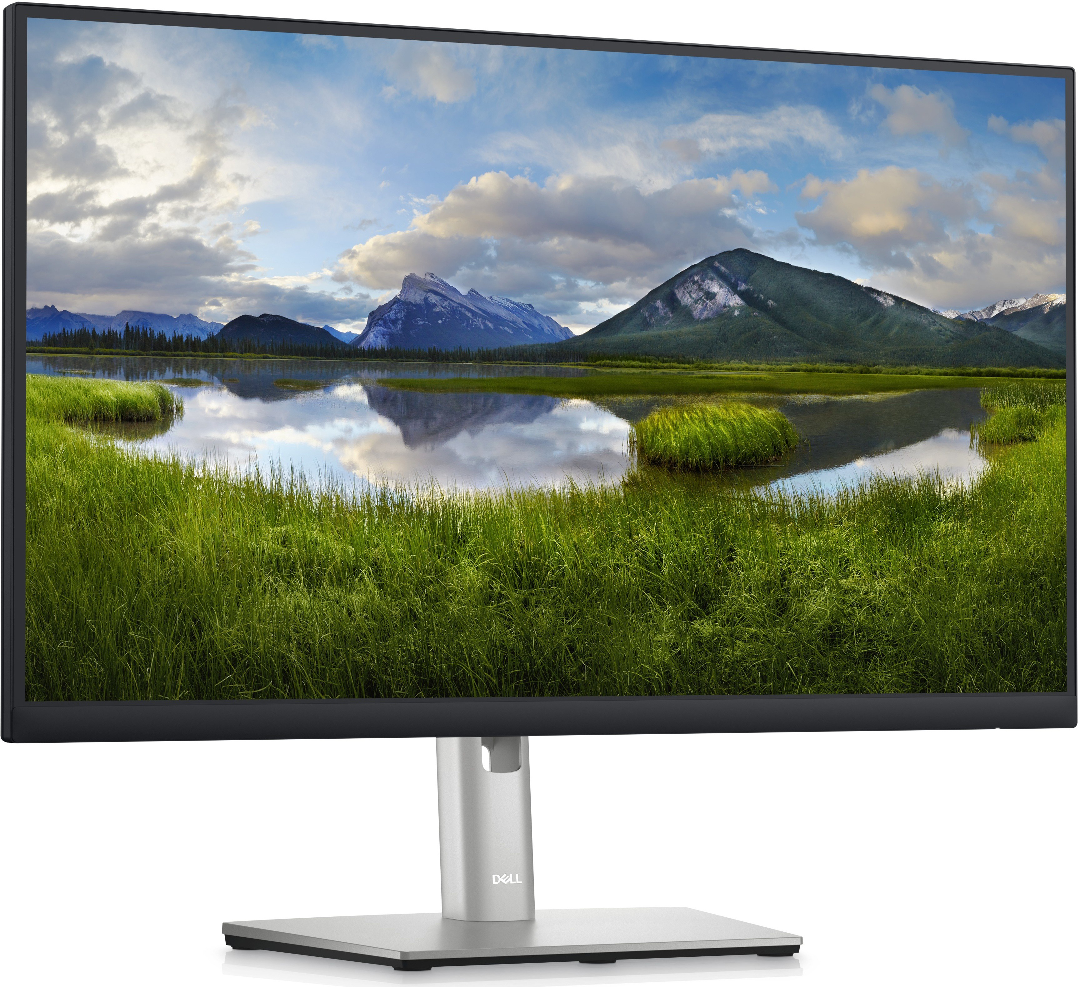 Монитор Dell P2423DE, 23.8