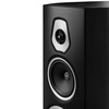 Напольная акустика Sonus Faber Sonetto V, Черный вариант - 4