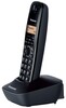 Радиотелефон Panasonic KX-TG1611 Panasonic KX-TG1611 вариант - 3