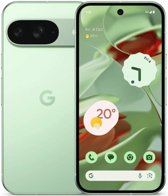 Смартфон Google Pixel 9 12/256 Гб, зеленый, nanoSIM + eSIM №1