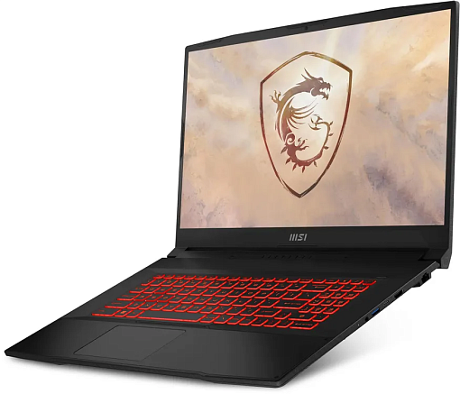 Ноутбук MSI Katana 17 B12UCX-1604XRU, Intel Core i5 12450H, RAM 16 ГБ, Черный, SSD 512 ГБ, NVIDIA GeForce RTX 2050, без ОС детальное изображение - 3