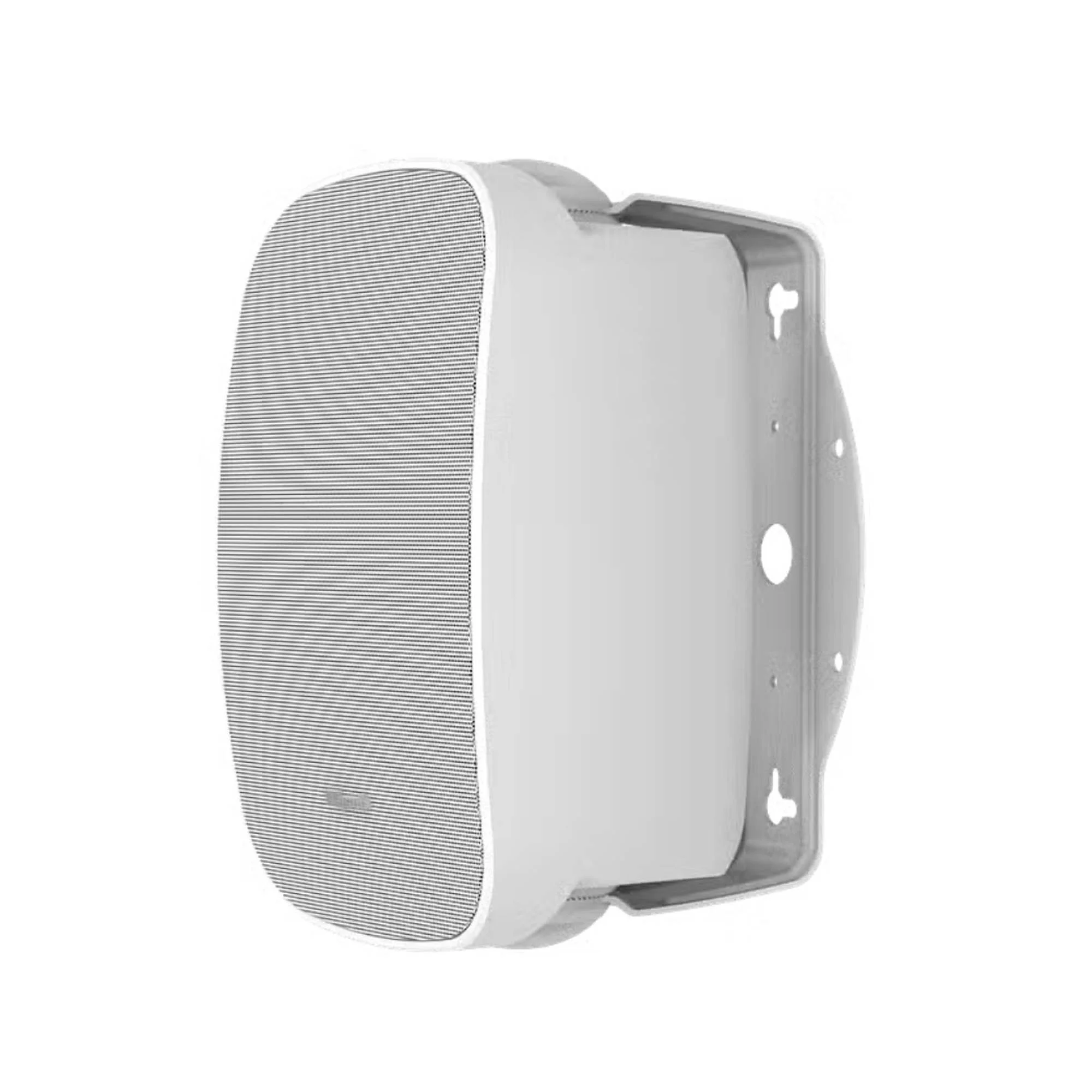 Всепогодная акустика Klipsch RSM-800, Белый детальное изображение - 6