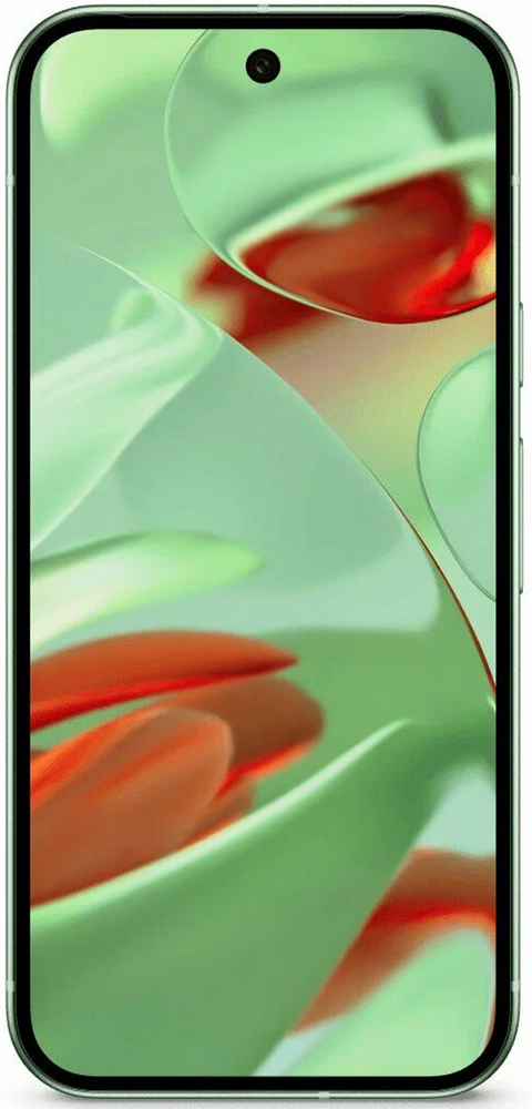 Смартфон Google Pixel 9 128 Гб, зеленый, Dual nanoSIM + eSIM №2
