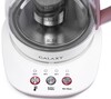 Заварной чайник Galaxy GL 0591 вариант - 8