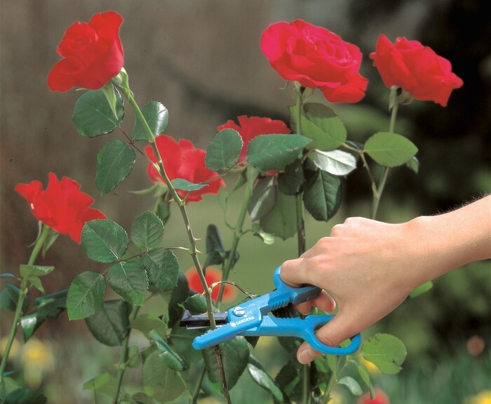 Садовые ножницы GARDENA Rose Gatherer 359-20 №2
