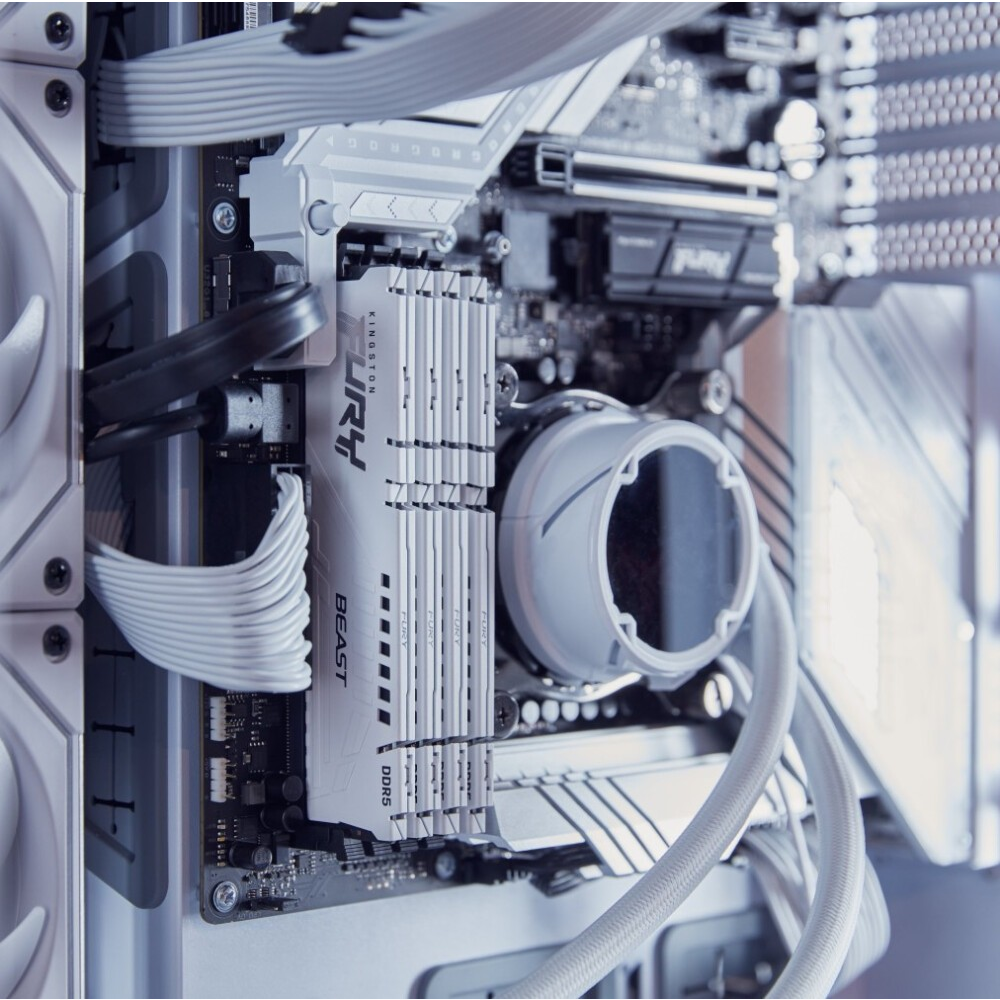 Оперативная память Kingston Fury Beast White DDR5 5600MHz, KF556C40BW-16, 16 Гб детальное изображение - 4