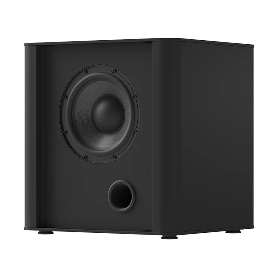 Сабвуферы Piega PS 101, Черный детальное изображение - 2
