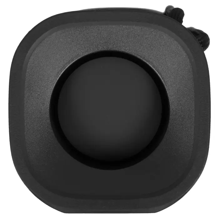 Портативная колонка Sony ULT FIELD 1, Черный №4