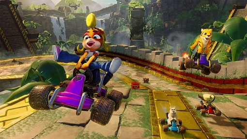 Игра Crash Team Racing Nitro-Fueled для Nintendo Switch детальное изображение - 4