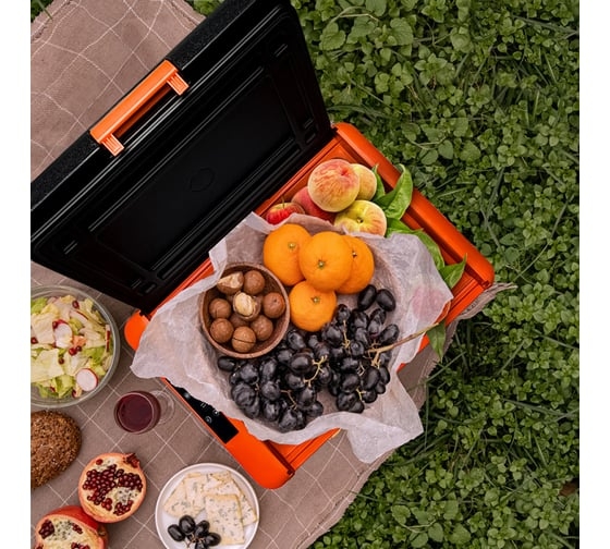 Автомобильный компрессорный холодильник Alpicool CL30, 990103, 12/24 В, Черный детальное изображение - 14