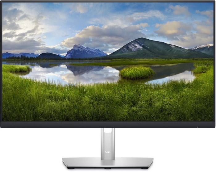 Монитор Dell P2423DE, 23.8