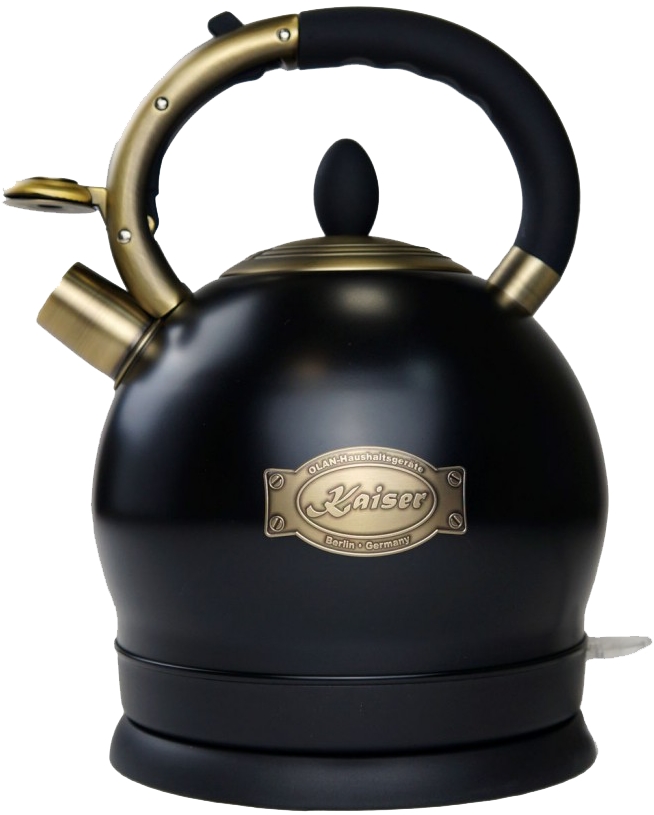 Электрочайник Kaiser WK2000 ElfEm детальное изображение - 3