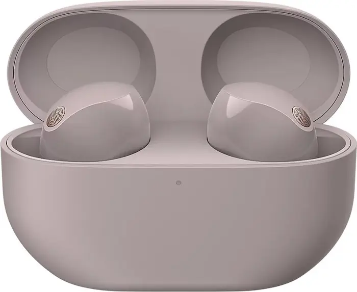 Беспроводные наушники Sony WF-1000XM5, Черный №1