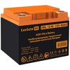 ИБП ExeGate FineSine SX-2500.LCD.AVR.2SH + 2x HRL 12-45 (45Ач) + батарея вариант - 7