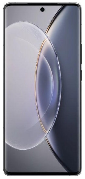 Смартфон Vivo X90 Pro Plus 512 ГБ, Черный, Dual nano SIM детальное изображение - 2