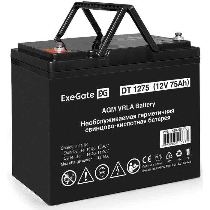 ИБП ExeGate IdealSine SR-1000.LCD.2SH + DT 1275 (75Ач) №7