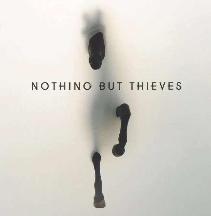 Виниловая пластинка Nothing But Thieves - Nothing But Thieves №1