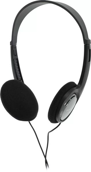Наушники Panasonic RP-HT010, Черный детальное изображение - 2