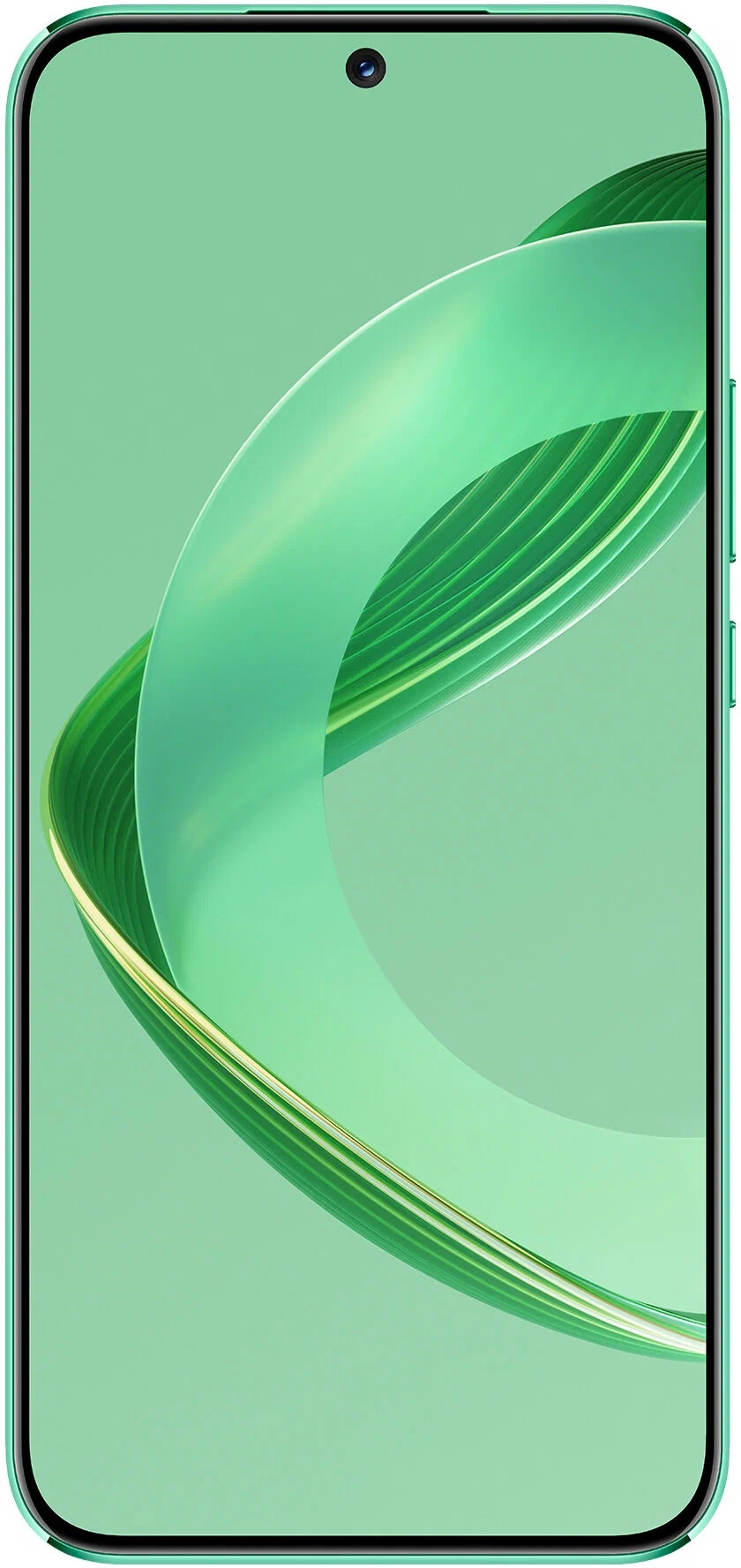 Смартфон Huawei nova 11 256 Гб, Зелeный, Dual nano-SIM детальное изображение - 2