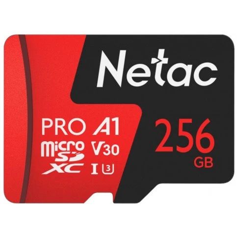 Карта памяти Netac P500 Extreme Pro MicroSD (NT02P500PRO-256G-S), 256 Гб детальное изображение - 1