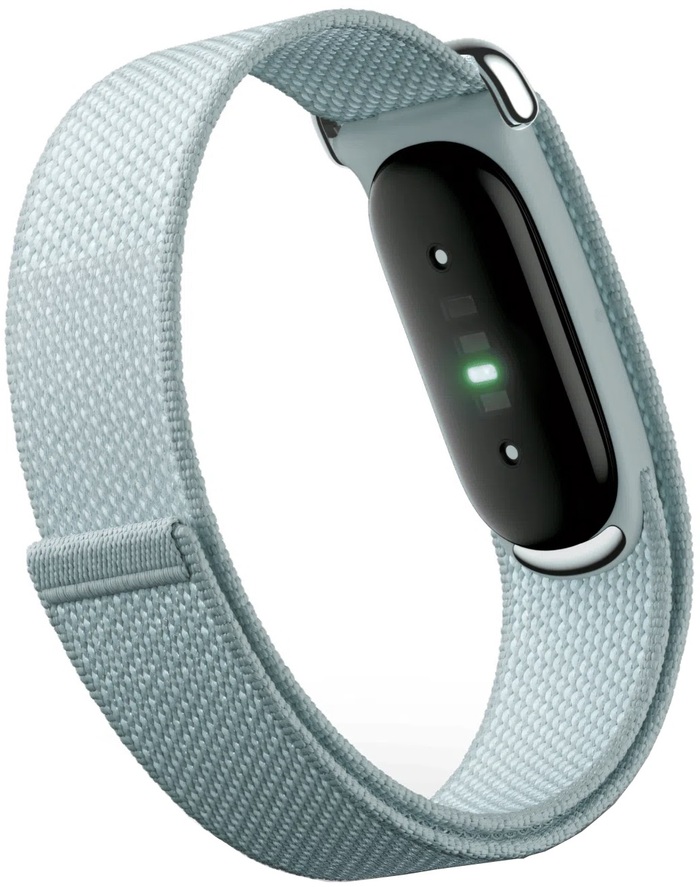 Фитнес-браслет Google Fitbit Air, Серый №3