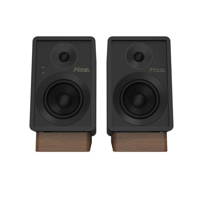 Беспроводная акустика Onkyo GX-30ARC, Черный №4