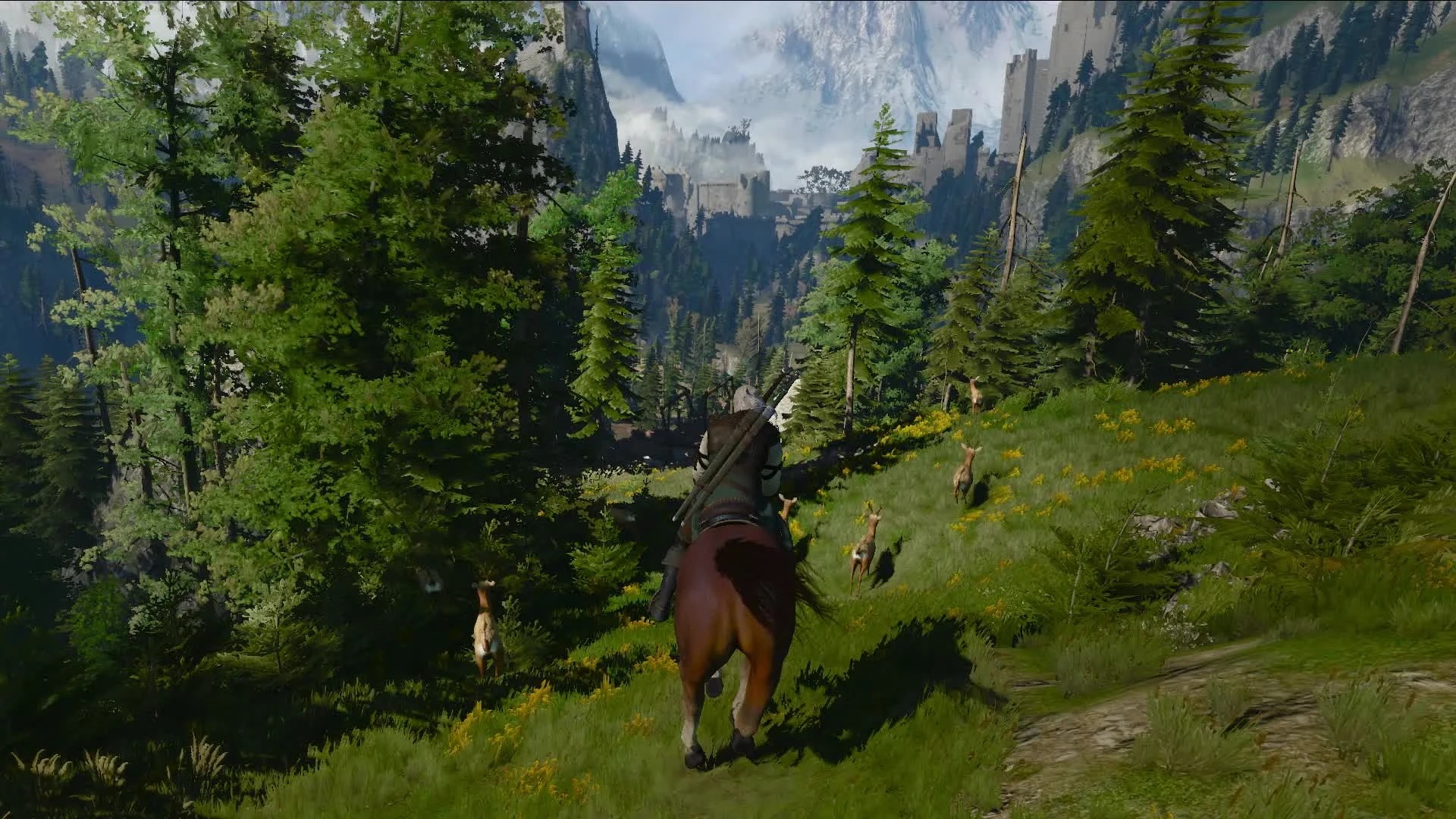 Игра Ведьмак 3: Дикая Охота для Nintendo Switch, русская версия детальное изображение - 6