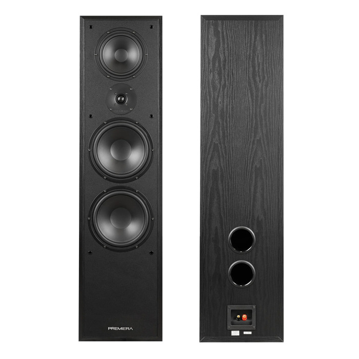 Напольная акустика Premiera ES-831, Черный №4