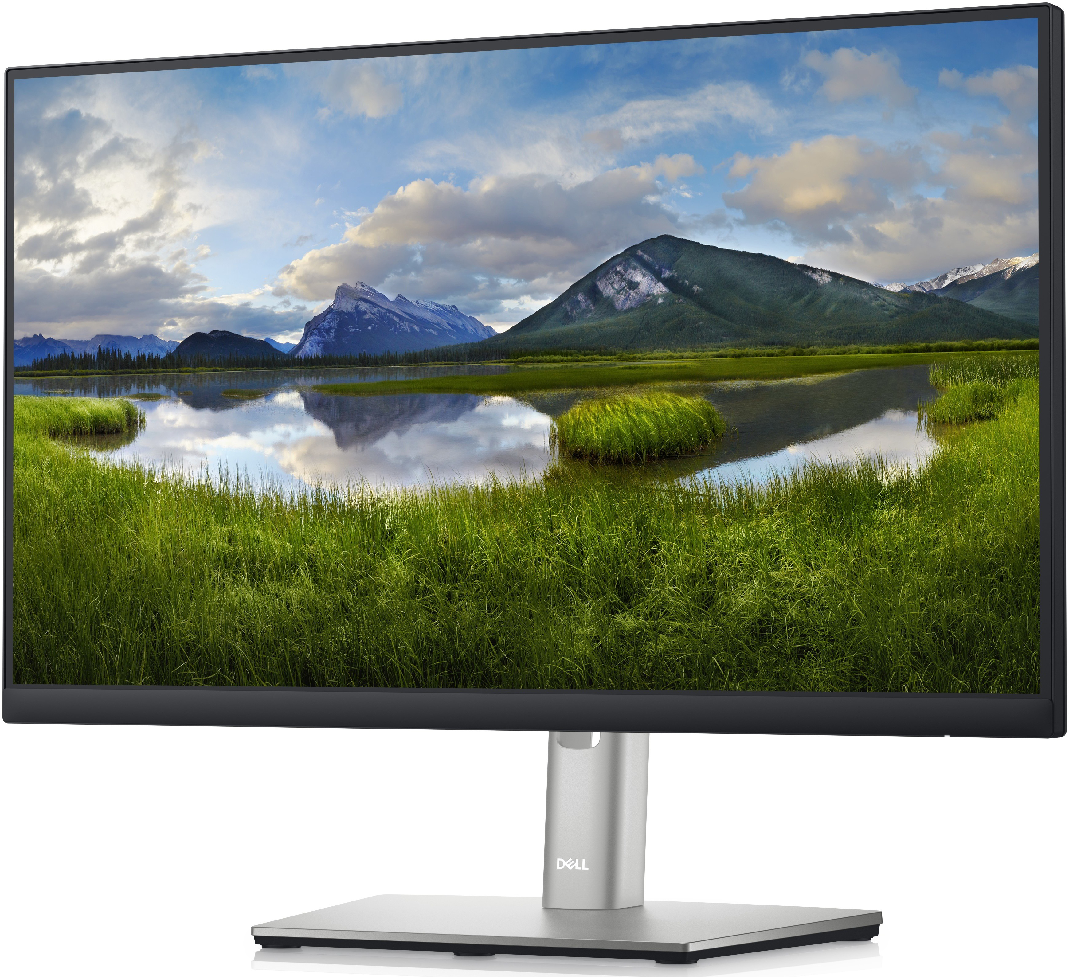 Монитор Dell P2222H, 22