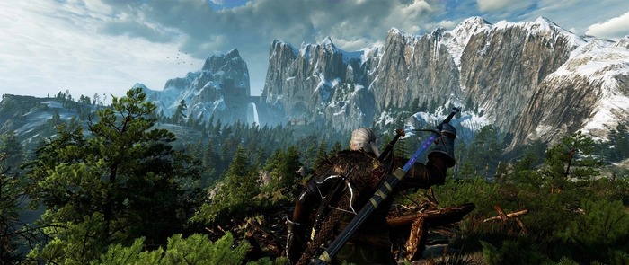 Игра Ведьмак 3: Дикая Охота для Nintendo Switch, русская версия №4