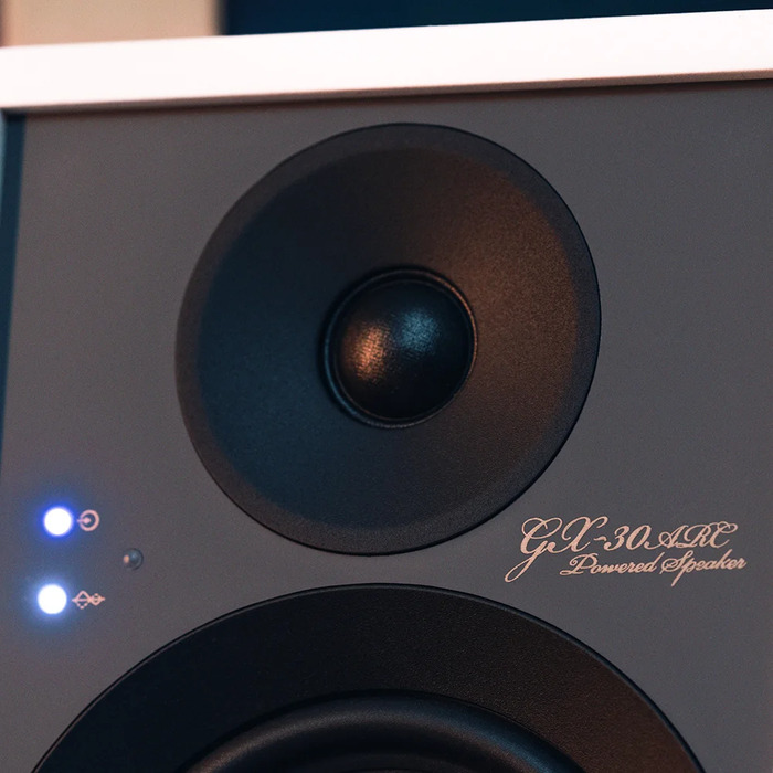 Беспроводная акустика Onkyo GX-30ARC, Белый №10