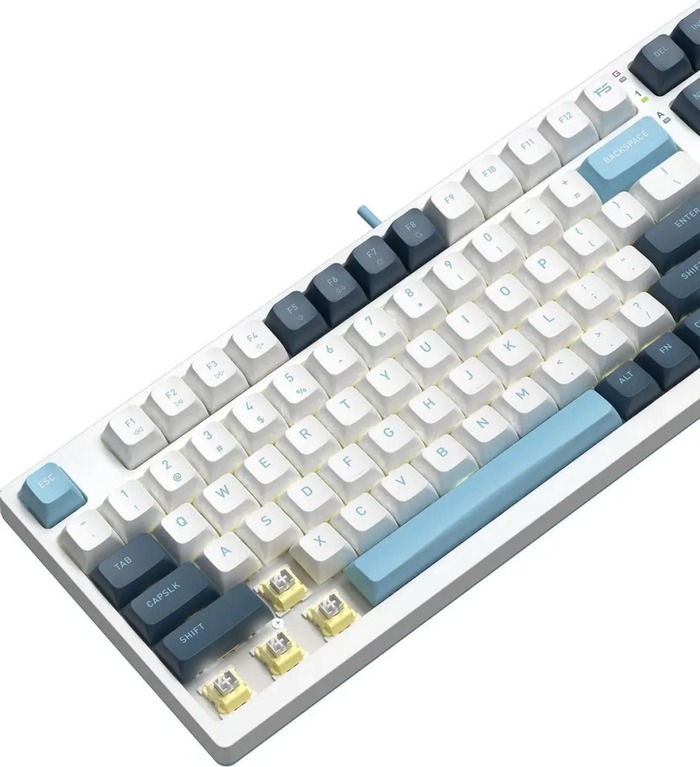 Клавиатура A4Tech Fstyler FS300 Panda Snowboarding, Голубой №2