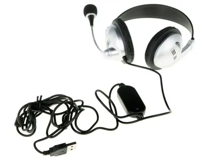 Проводные наушники Ritmix RH-533 USB, Серебристый №6
