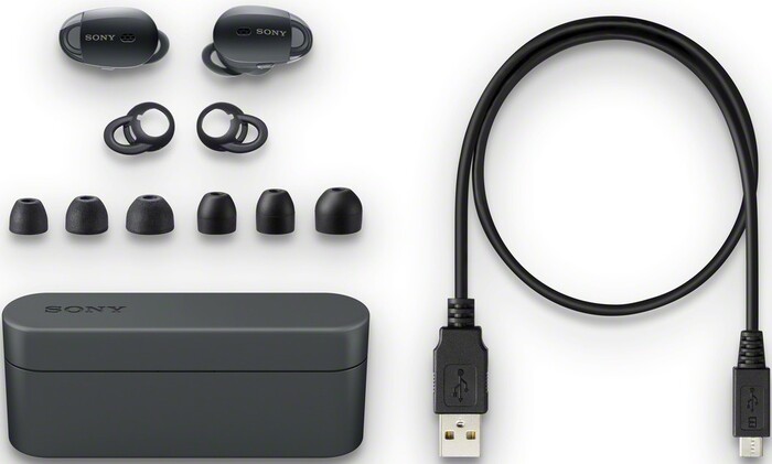 Беспроводные наушники Sony WF-1000X, Черный №11
