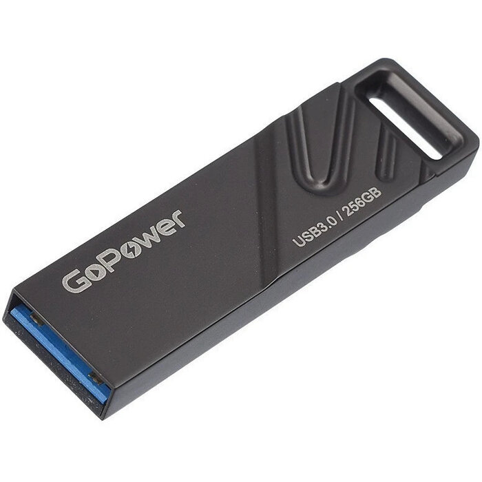 USB Flash накопитель GoPower TITAN 256 ГБ, черный №1