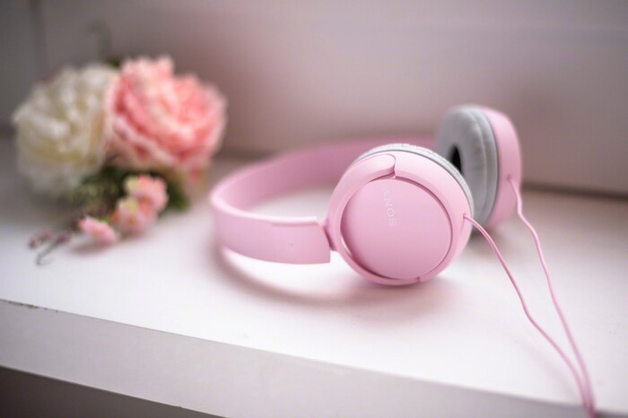 Проводные наушники Sony MDR-ZX110, Черный №6