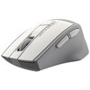 Мышь A4Tech Fstyler FG30S, Белый, Серый вариант - 2