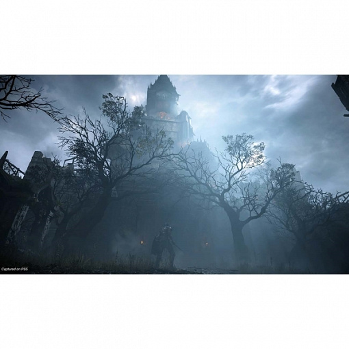 Игра для PlayStation 5 Demon’s Souls (2020) детальное изображение - 7