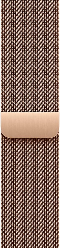 Умные часы Apple Watch Series 11 42 мм, Natural Titanium Case with Gold Milanese Loop, GPS + Cellular, Серебристый/Золотой детальное изображение - 3