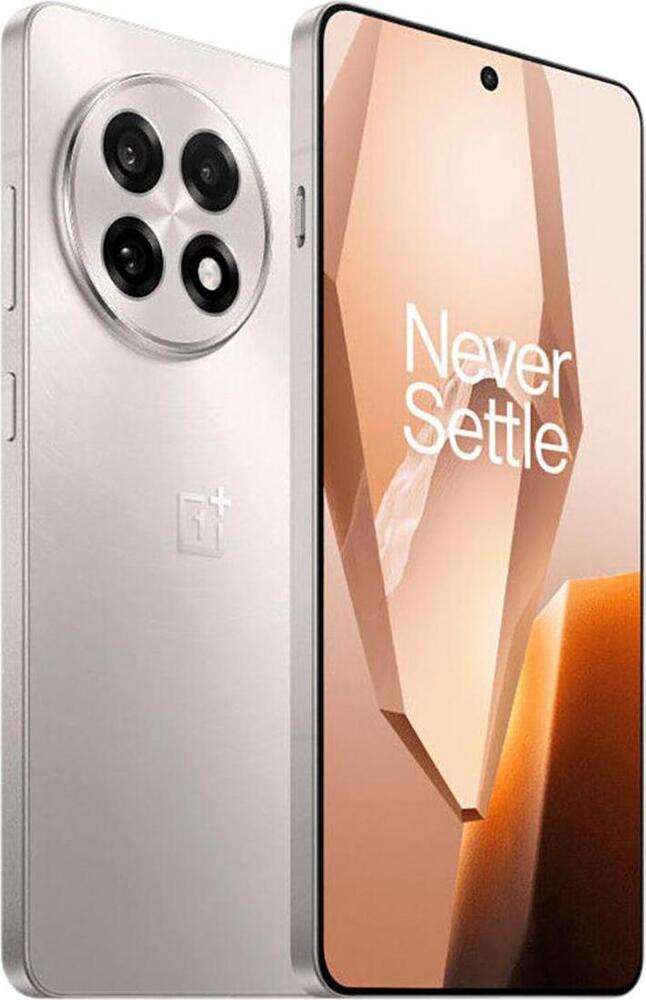 Смартфон OnePlus 13R 12/256 Гб, Серый, Dual nano SIM №2