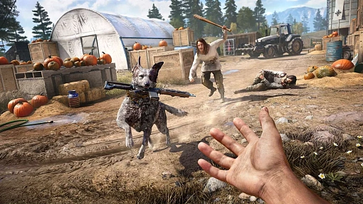Игра Far Cry 4 + Far Cry 5 (Double Pack) для PS4 детальное изображение - 3