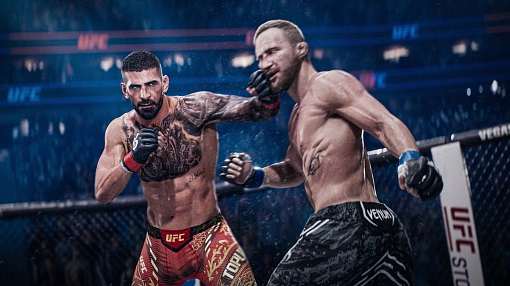 Игра UFC 6 для PS5 детальное изображение - 3