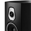 Напольная акустика Sonus Faber Sonetto VIII, Черный вариант - 4