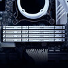 Оперативная память Kingston Fury Beast White DDR5 6000MHz, KF560C30BWE-32, 32 Гб вариант - 3